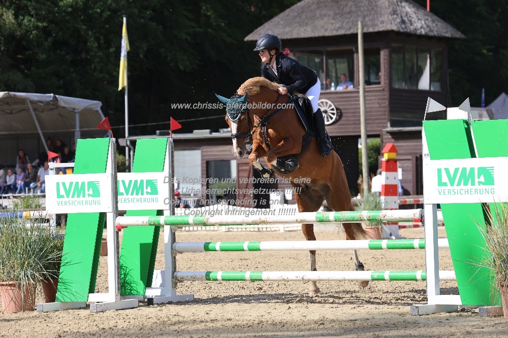 Preview michelle ehlert mit neville my dreamcatcher IMG_0527.jpg